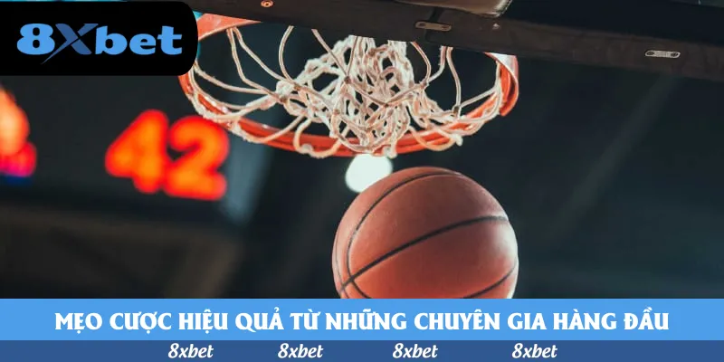 Mẹo cược hiệu quả từ những chuyên gia hàng đầu